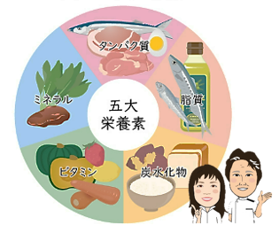 ５大栄養素